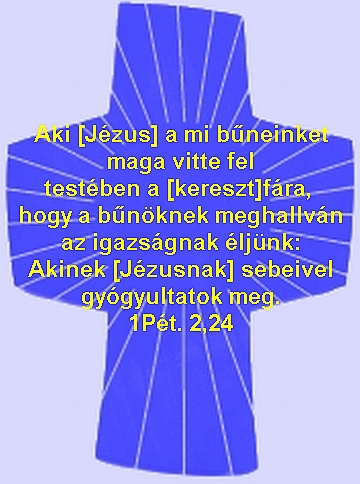 akineksebeivel.jpg (136505 bytes)