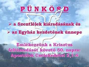 punkosd.jpg (100890 bytes)